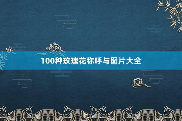 100种玫瑰花称呼与图片大全