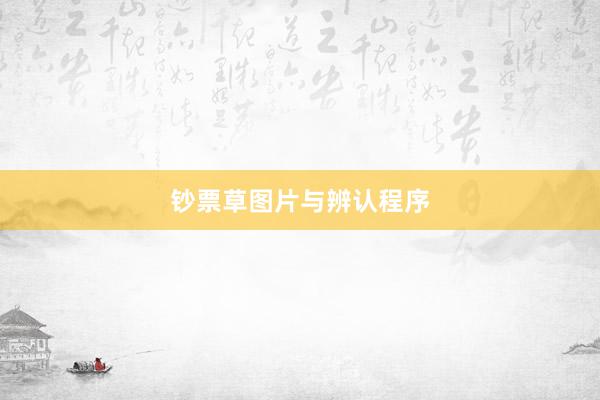 钞票草图片与辨认程序